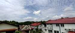 Leedon Park (D10), Detached #599678631